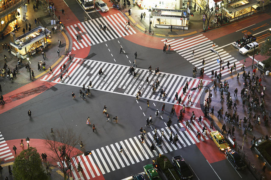Elevated View of Zebra Crossings in Shibuya, Tokyo, Japan Photograph by Jeremy Maude