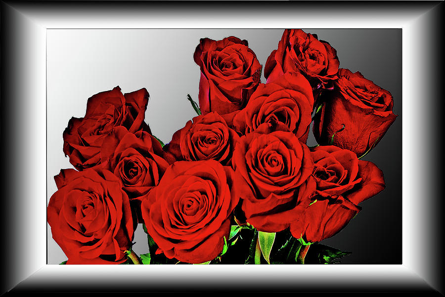 Eleven Roses Photograph by Richard Risely