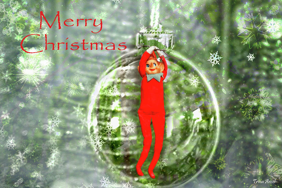 Elf in a Christmas Ornament Digital Art by Trina Ansel