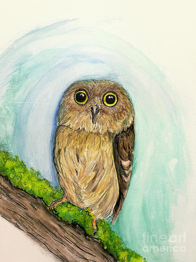 Elf Owl Painting by Lora Tout