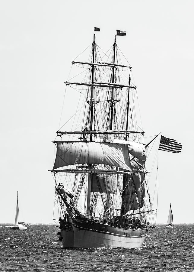 Elissa under partial sail in Pensacola Bay Photograph by Travel Quest Photography