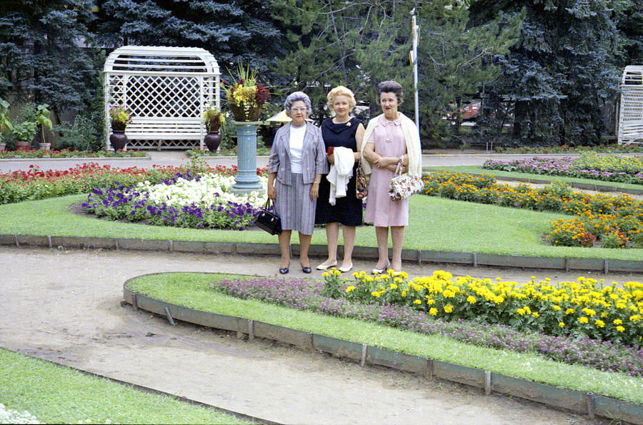 Vintage Photograph - Elitchs Garden Denver 1967 by Marilyn Hunt