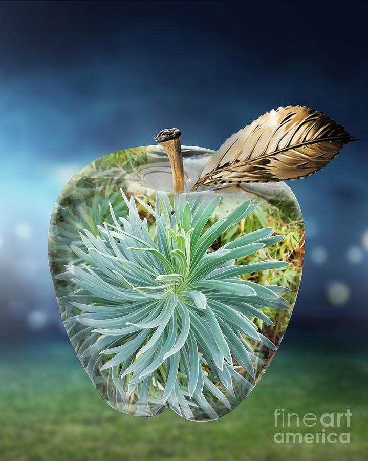 Nature Digital Art - Elixir Apple  by Alexandra Vusir