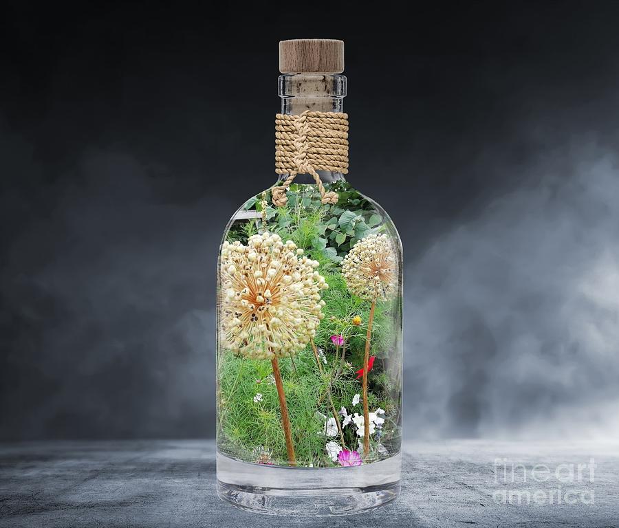 Nature Digital Art - Elixir Summer Memories  by Alexandra Vusir