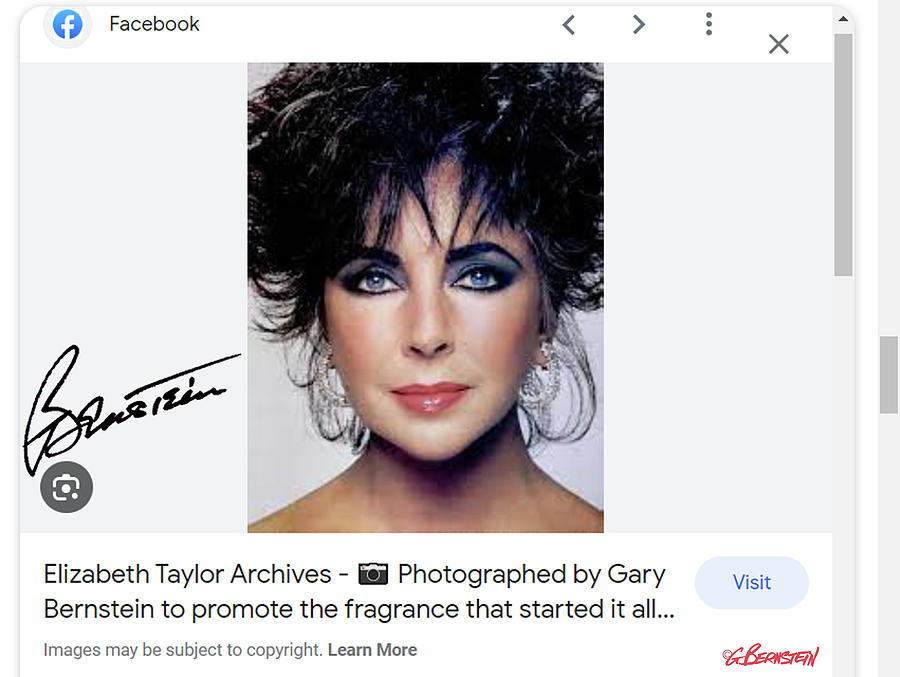 Elizabeth Taylor . Google Page 1 . Culver City, CA 1987 Photograph by Gary Bernstein