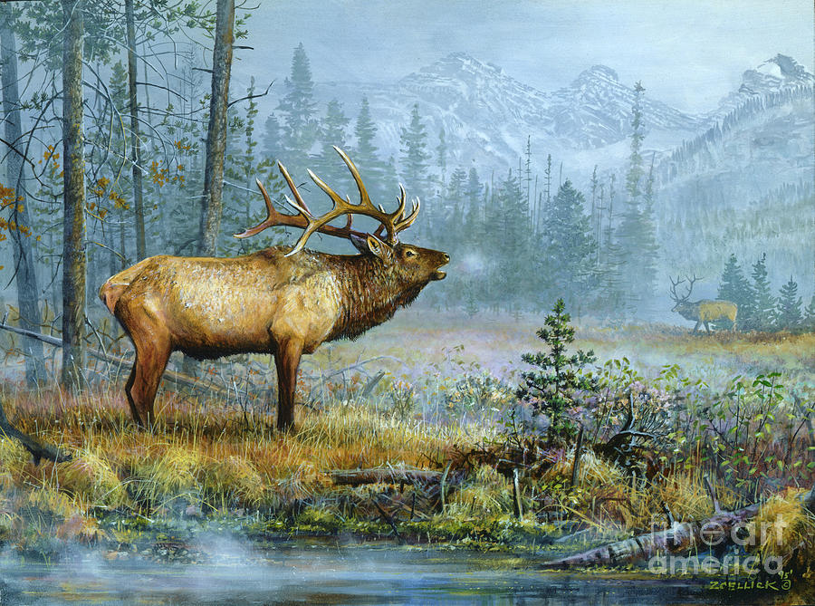 Elk 1 Painting by Scott Zoellick