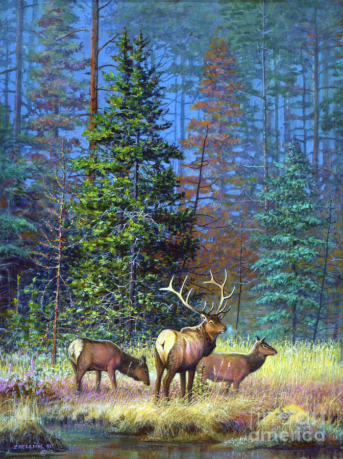 Elk 2 Painting by Scott Zoellick
