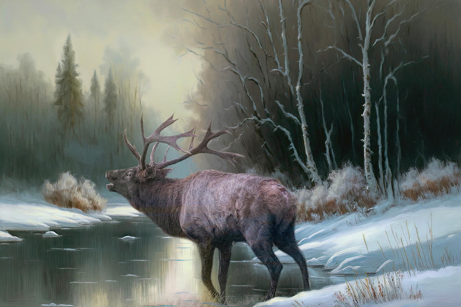 Elk At Wynter River Painting by Jai Johnson
