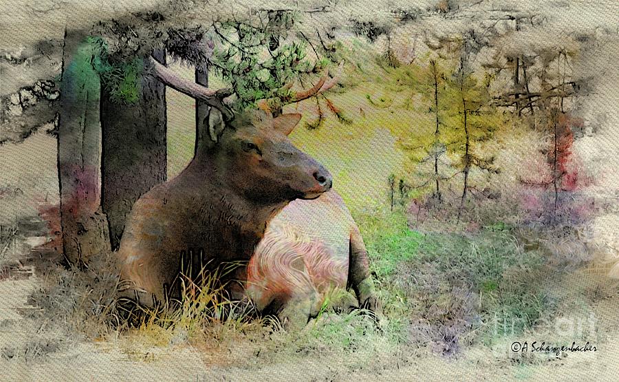 Elk Bull Digital Art by Aurelia Schanzenbacher