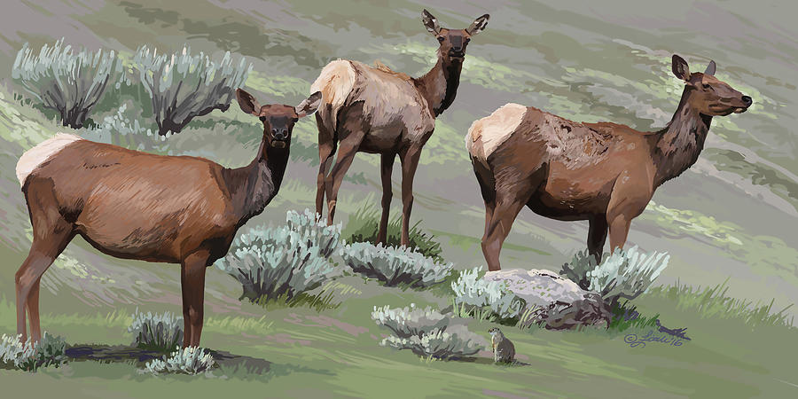 Elk Cows Trio Digital Art by Pam Little