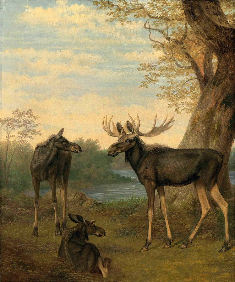 Elk in a river landscape Painting by Jacques-Laurent Agasse
