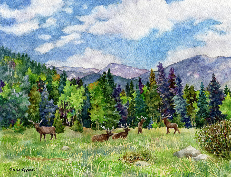 Elk in Rocky Mountain National Park Painting by Anne Gifford Elk in Rocky Mountain National Park Painting by Anne Gifford