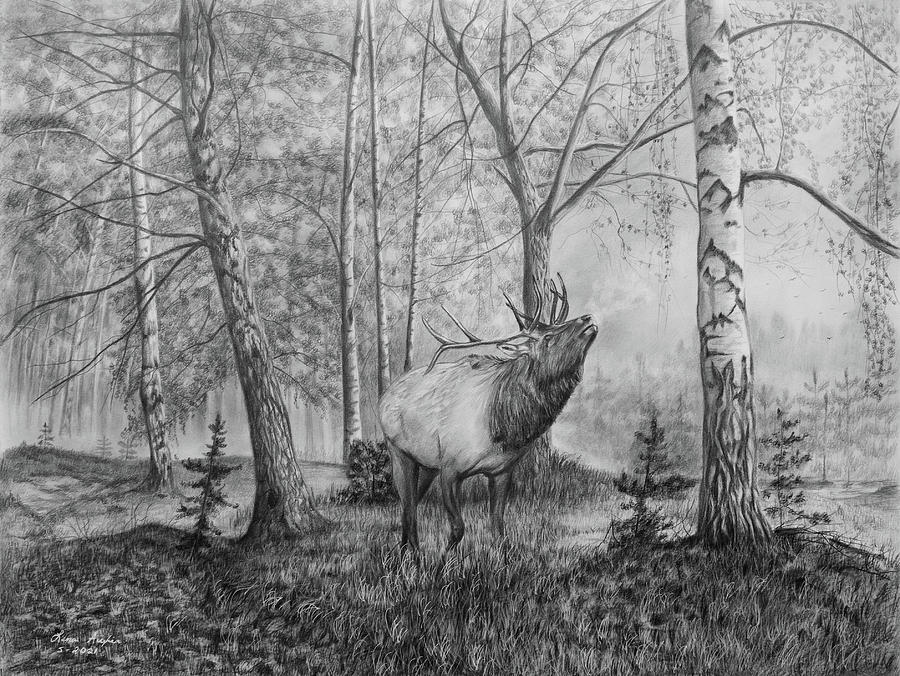 Elk in the Forest Drawing by Lena Auxier