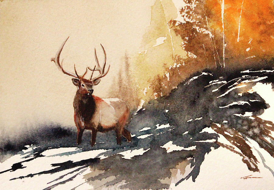 Elk In The High Country Painting