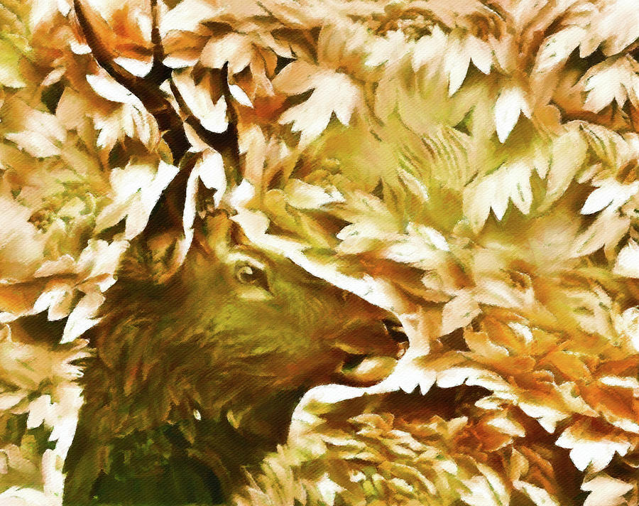 Elk in the Woods Digital Art by Susan Maxwell Schmidt
