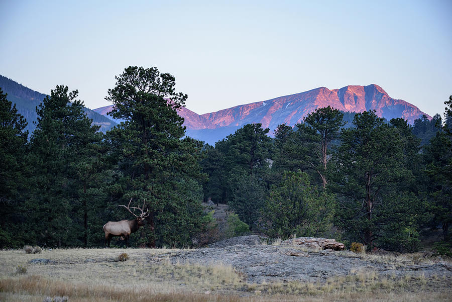 Elk Mountain Morning Photograph By Dean Bjerke Pixels