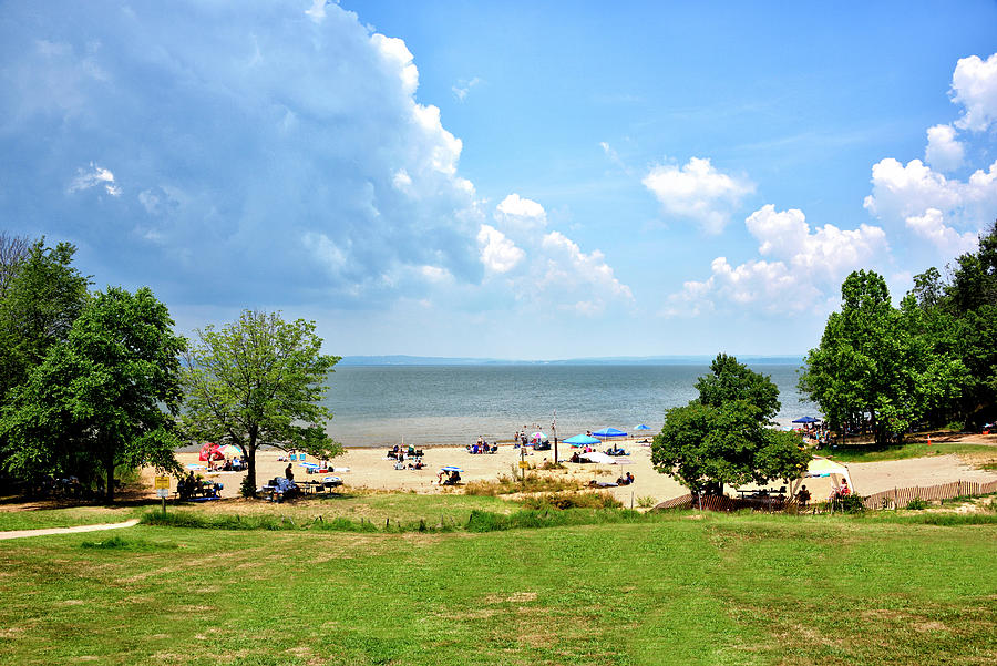 Elk Neck State Park - Chesapeake Bay Photograph by Brendan Reals - Pixels