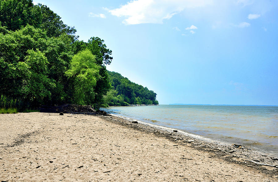 Elk Neck State Park Maryland Photograph by Brendan Reals