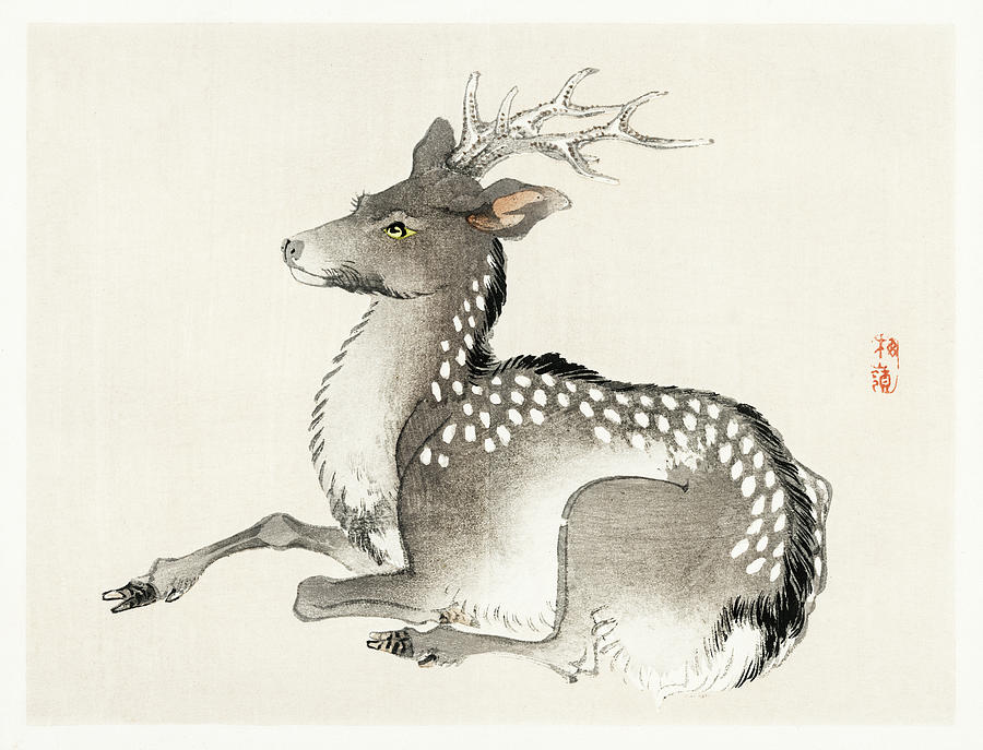 Elk Vintage Japanese Illustration Painting by Kono Bairei