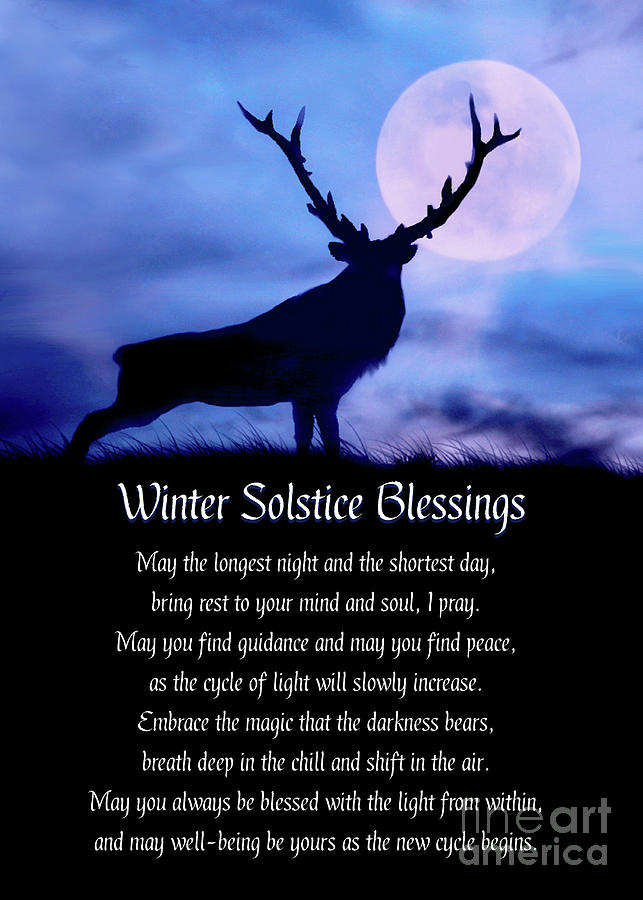 Elk Winter Solstice Night Blessings Poem Photograph By Stephanie Laird