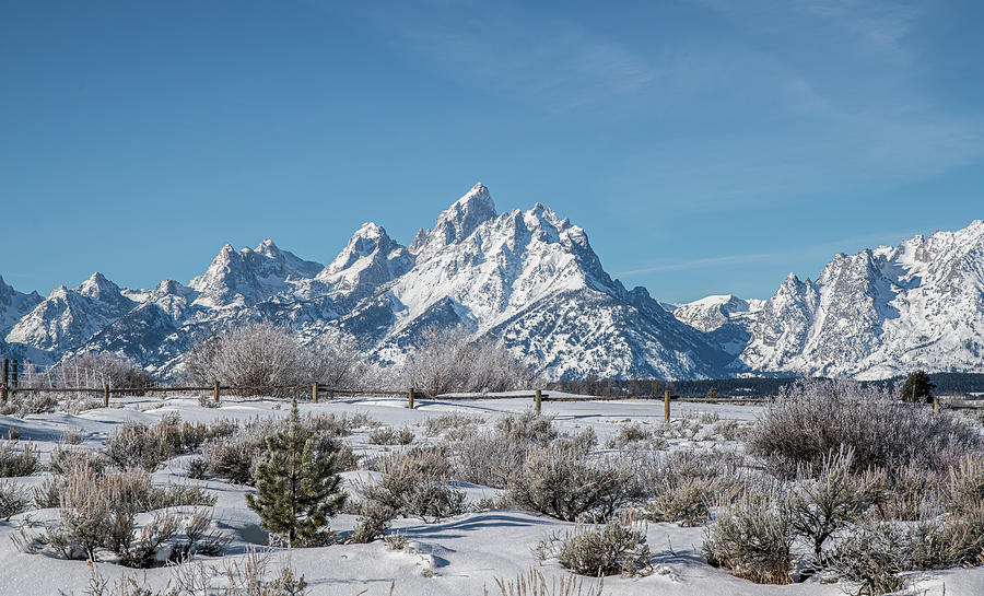 Elk Ranch Flats Winter Tetons Photograph by Douglas Wielfaert