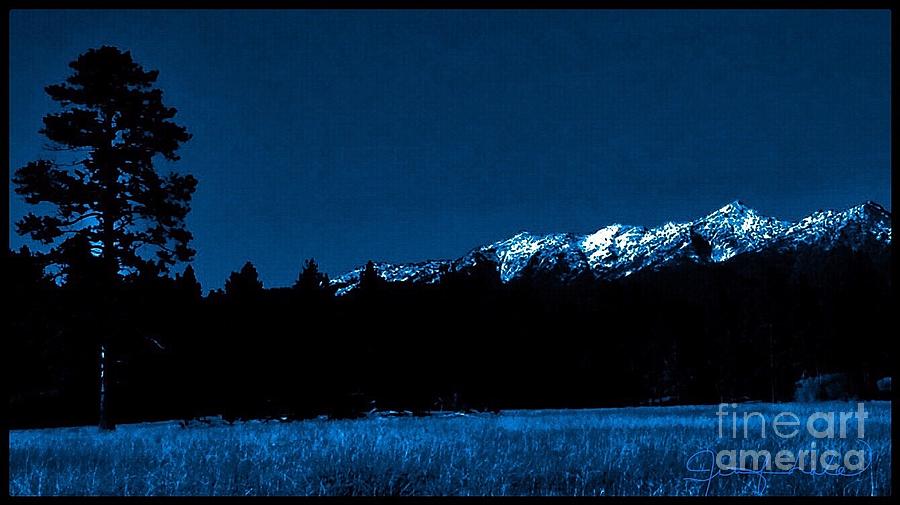 Elkhorn Moonlight Photograph by Jennifer Lake