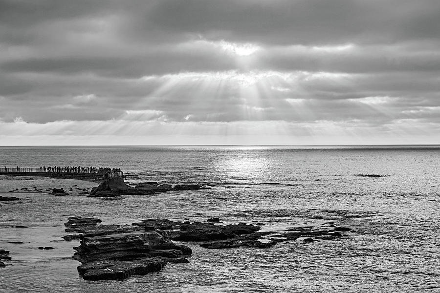 Ellen Browning Scripps Park Sunset La Jolla California Black and White Photograph by Toby McGuire