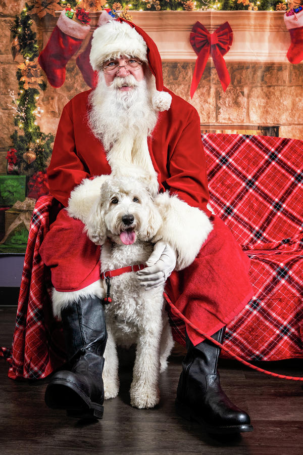 Ellie with Santa 2 Photograph by Christopher Holmes