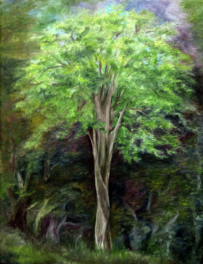 Elm Tree Painting by FT McKinstry