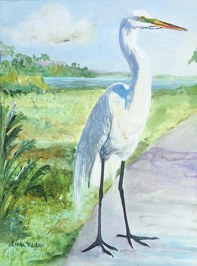 Clearwater Painting - Elmos Morning Visit by Linda Kegley