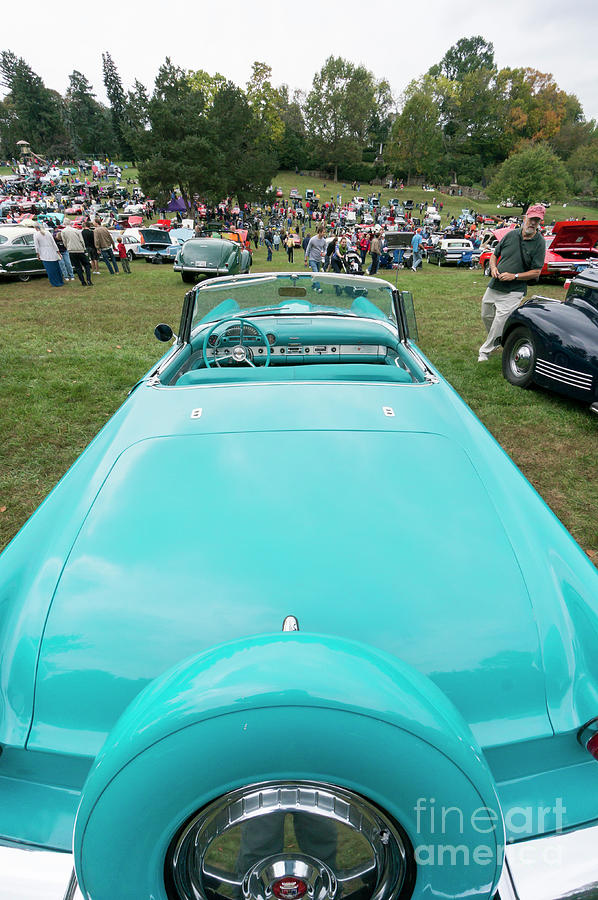 Elongated rear view of a vintage Ford Thunderbird convertible Photograph by William Kuta