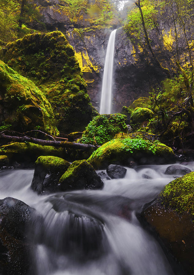 Elowah falls in Columbia River Gorge Oregon Photograph by Vishwanath Bhat