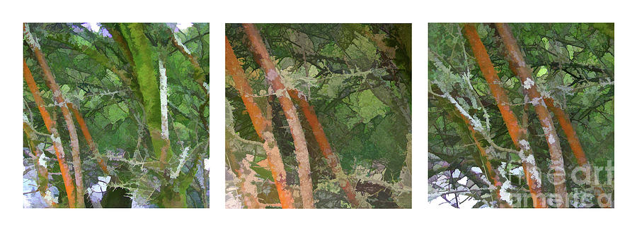 Elterwater Red 1 - Triptych Digital Art by David Hargreaves