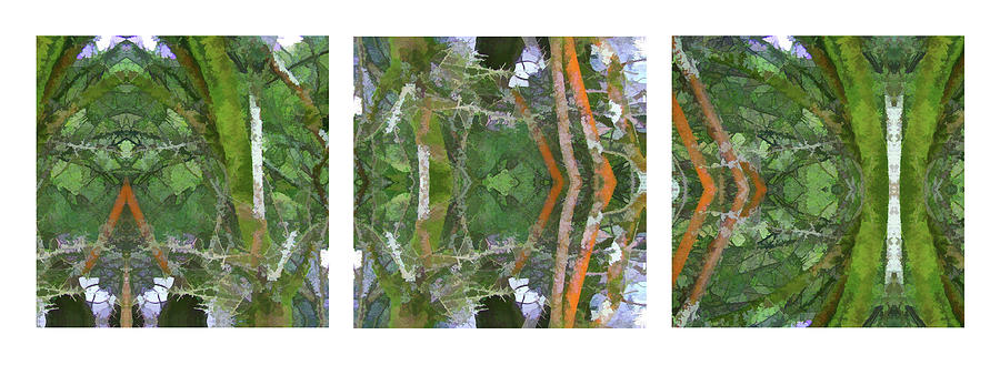 Elterwater Red 2 - Triptych Digital Art by David Hargreaves