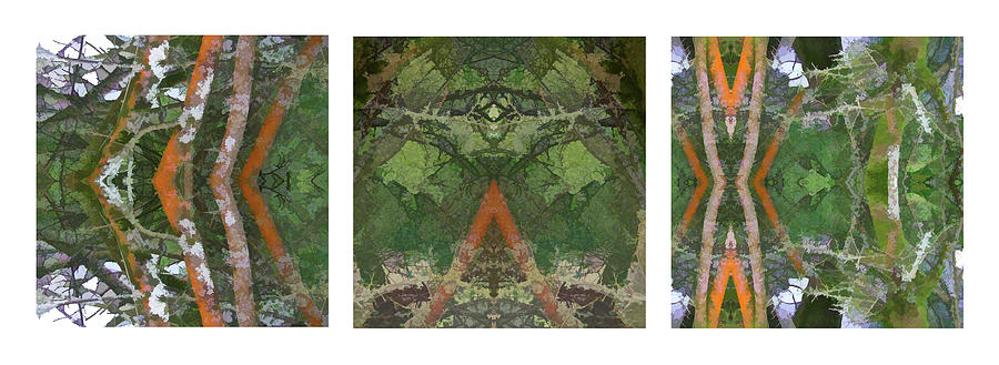 Elterwater Red 4 - Triptych Digital Art by David Hargreaves