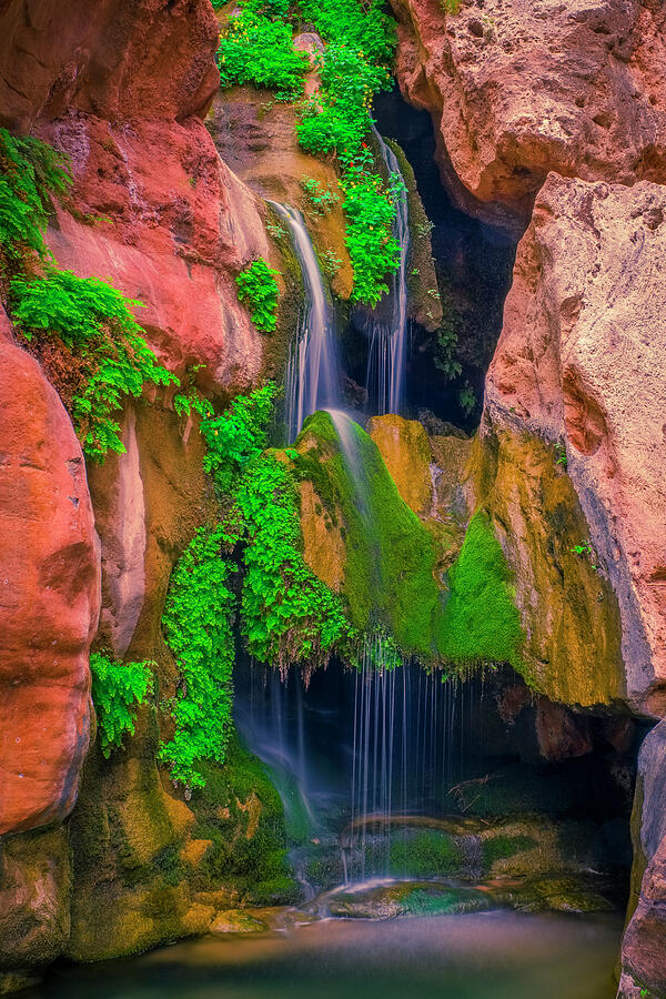 Elves Chasm close-up Photograph by Brian Alworth - Fine Art America