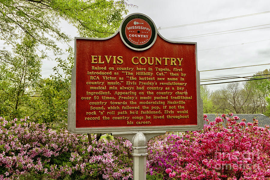 Elvis country sign in Tupelo Photograph by Patricia Hofmeester