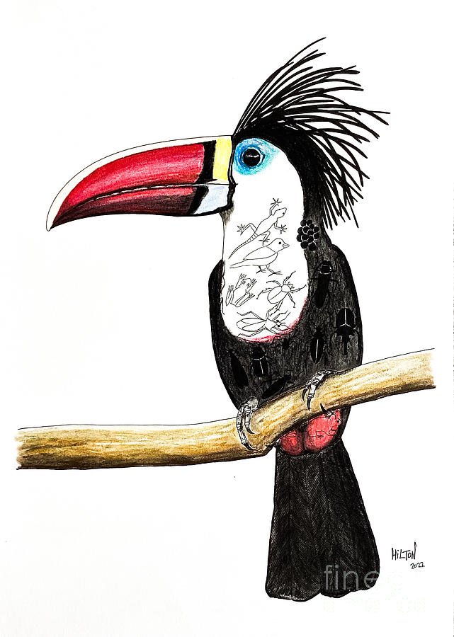 Nature Mixed Media - Elvis Crested Toucan - You Are What You Eat by Graham Wallwork