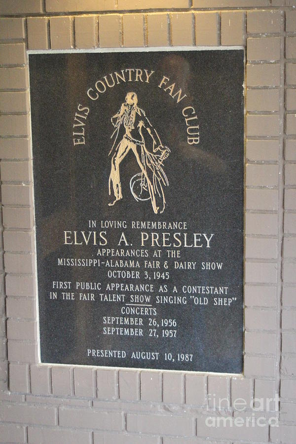 Elvis Plaque Tupelo Mississippi  Photograph by Chuck Kuhn