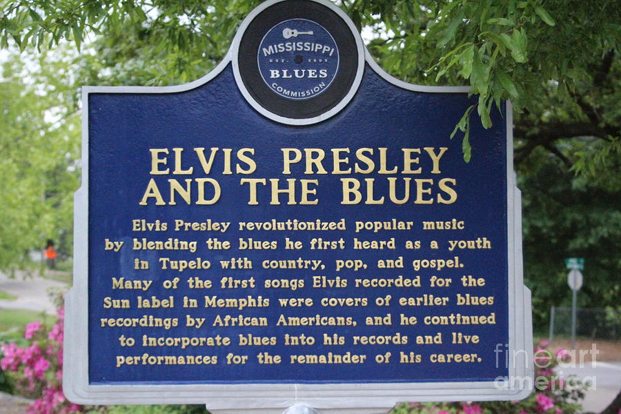 Elvis Presley Photograph - Elvis Presley and the Blues  by Chuck Kuhn