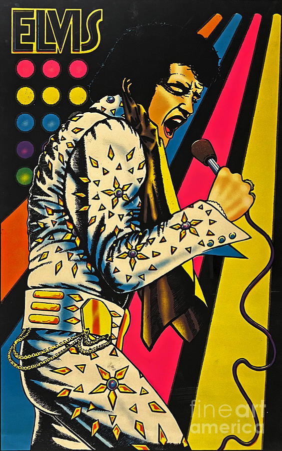 Elvis Presley Painting - Elvis Presley Concert Painting by Pd
