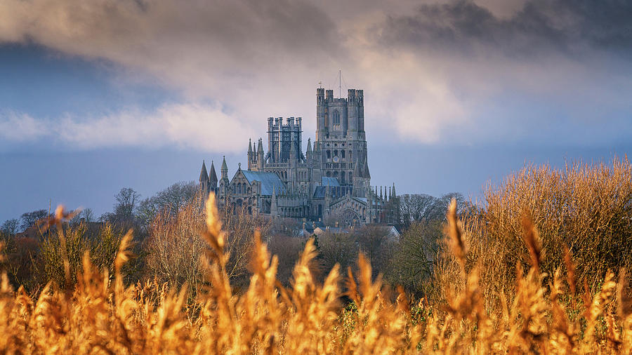 Ely Cathedral - Golden Reeds Photograph by James Billings