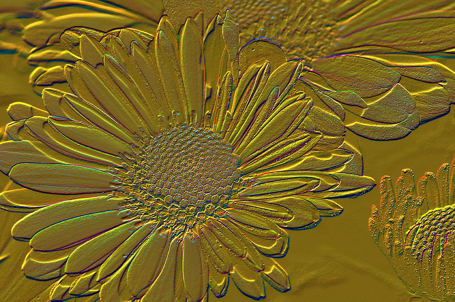 Afternoon Photograph - Embossed Chrysanthemum by Robert Potts
