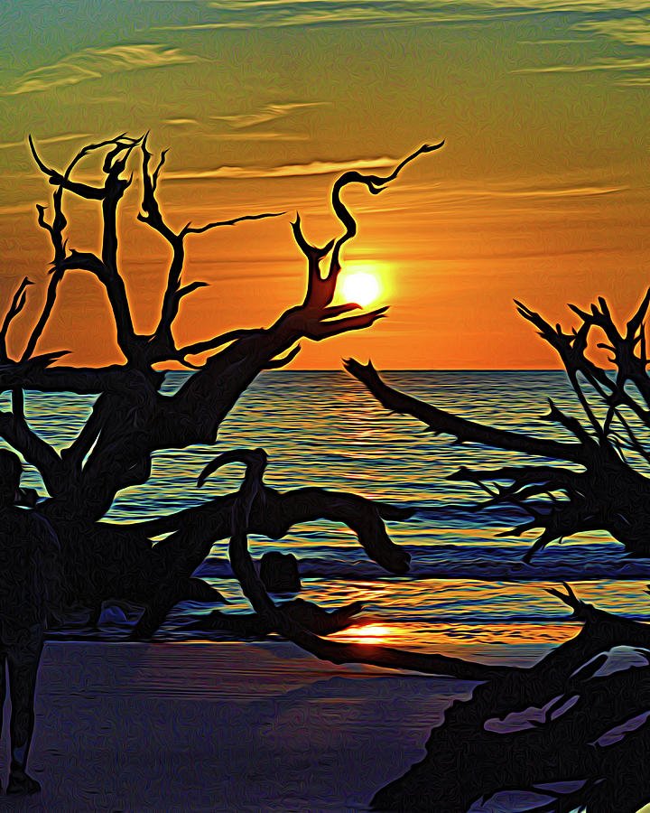 Embracing the Sun at Driftwood Beach Expressionism Photograph by Bill Swartwout