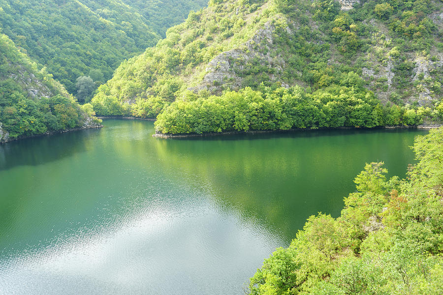 Emerald and Jade - Serene Forest Lake in Rich Jewel Tones Photograph by Georgia Mizuleva