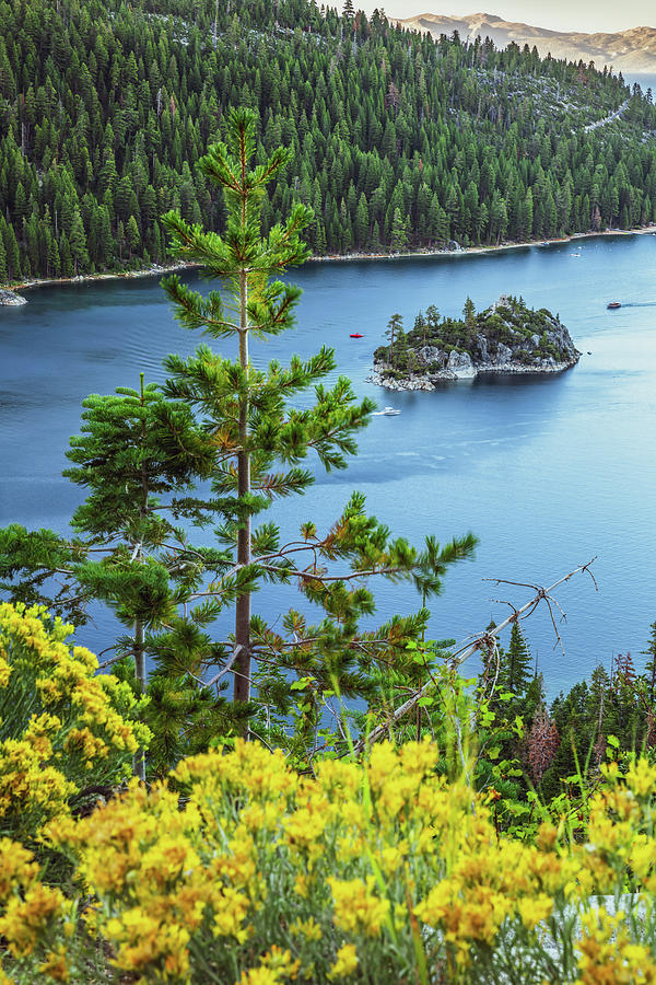 Tree Photograph - Emerald Bay Blue Waters Of Lake Tahoe by Gregory Ballos