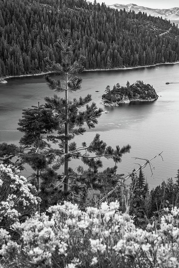 Emerald Bay Waters Of Lake Tahoe - Black And White Photograph by Gregory Ballos
