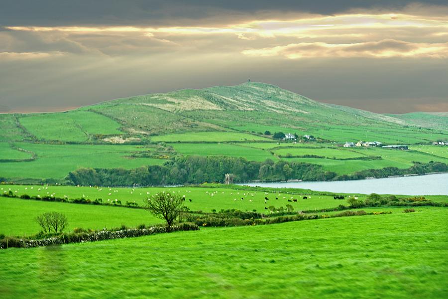 Emerald Green Landscape of Ireland Photograph by Douglas Barnett