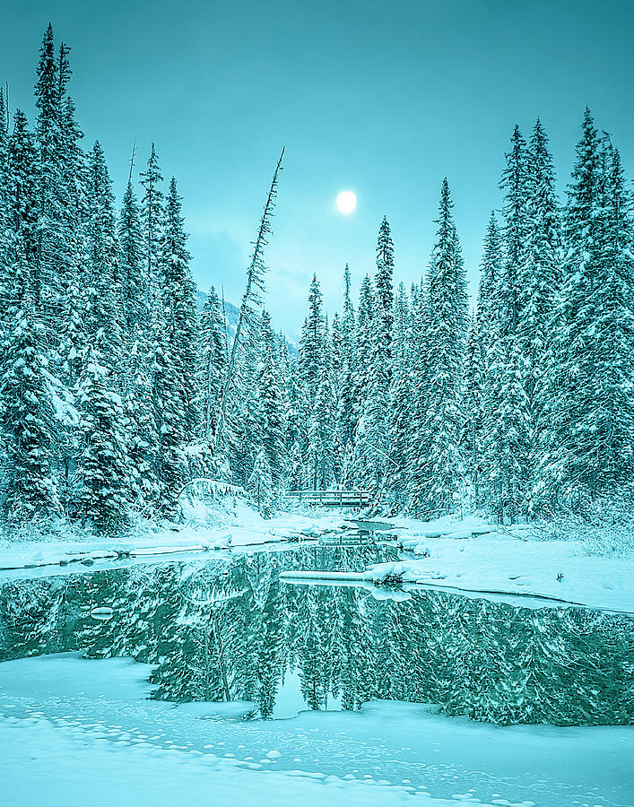 Emerald Lake in Winter Photograph by Bill Cubitt