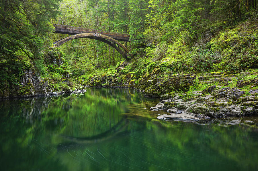 Spring Photograph - Emerald River by Darren White